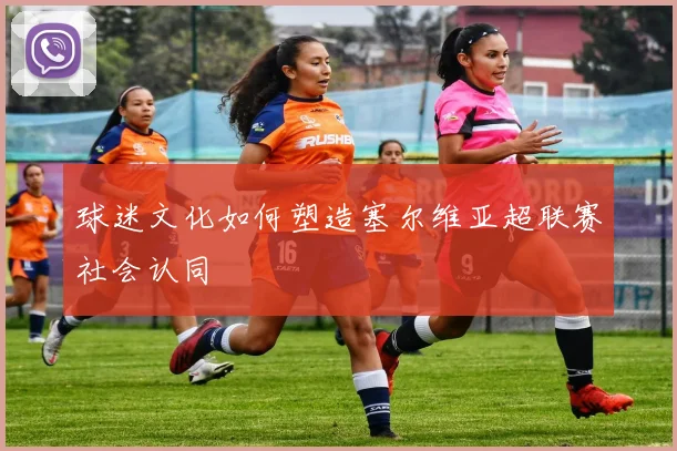 球迷文化如何塑造塞尔维亚超联赛社会认同