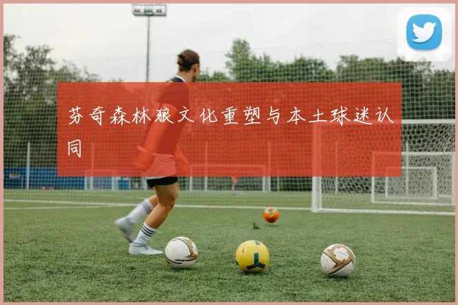 芬奇森林狼文化重塑与本土球迷认同