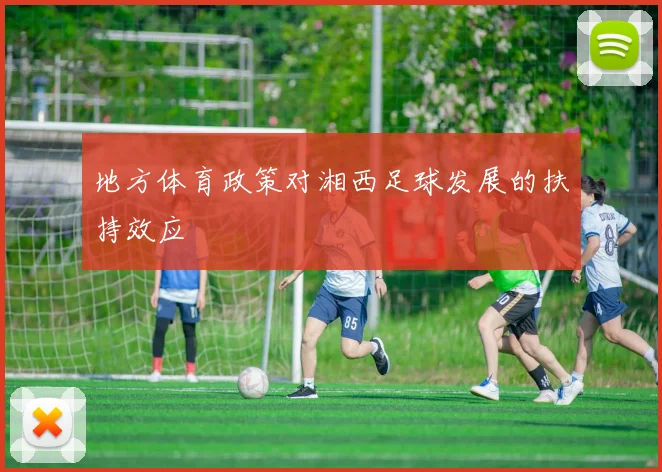 地方体育政策对湘西足球发展的扶持效应