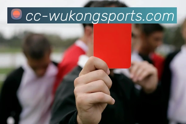 悟空平台生态图